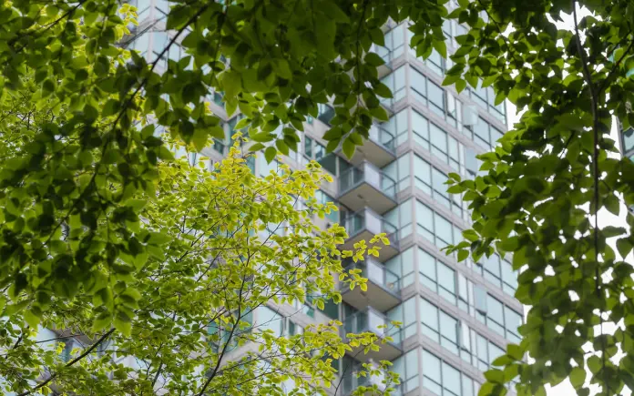 BC省屋主住房月开支近5千元想卖却难脱手 只因买了这种产权
