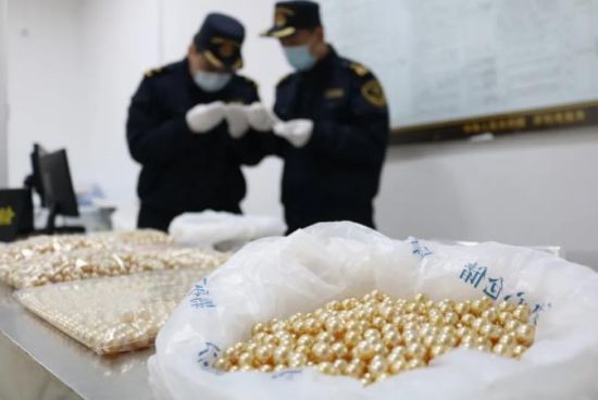 深圳湾海关查获一批海水养殖珍珠 价值约362万元