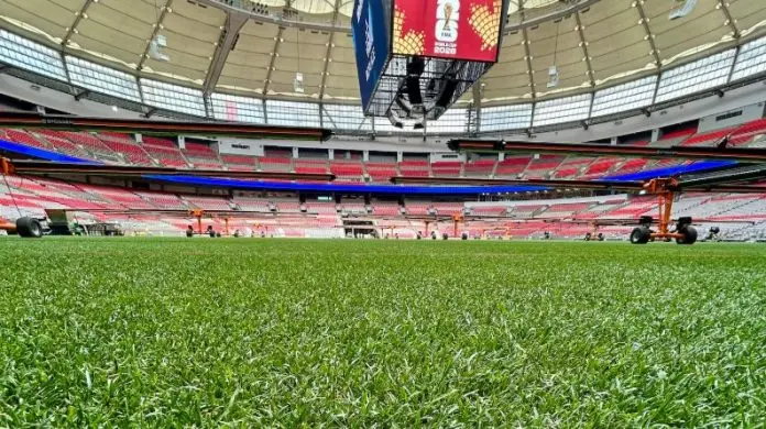 【2026世界杯】“决赛草皮”一小片卖450美元 温哥华球场草皮卖多少钱？