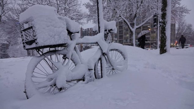 加拿大东部被大雪覆盖