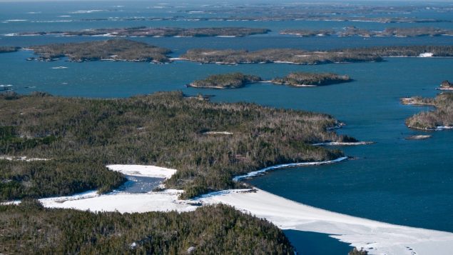 加拿大计划在大西洋沿岸开辟三个海洋生态保护区