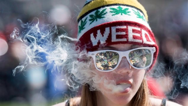 加拿大统计局：吸大麻的年轻人减少，年长者增加