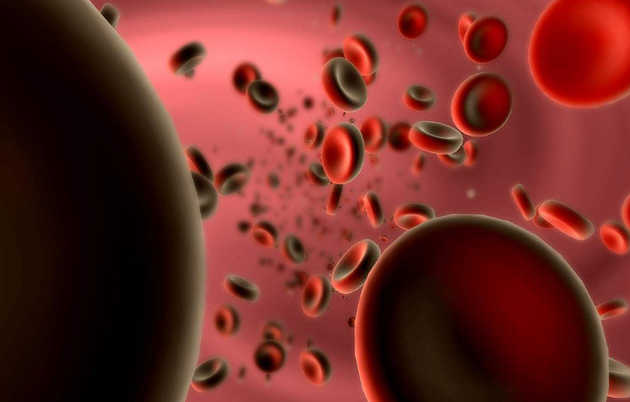 科学家研究出超级血液疗法：有望完全治愈癌症