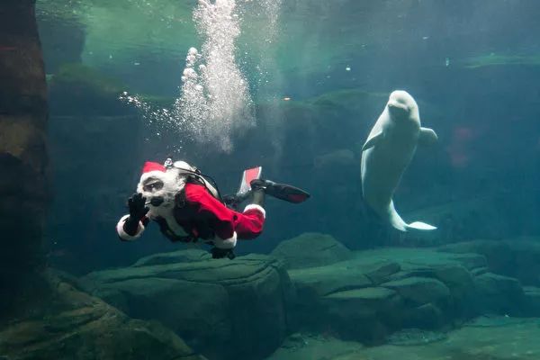 DA492866-CB00-4207-A7E9-78C4B139249A