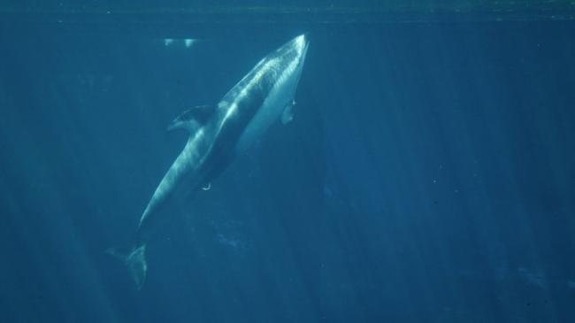 D5D677C4-97BE-4AAF-8E8F-EFD140159E25