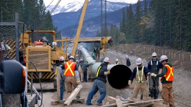 不满加拿大政府买下跨山输油管，联邦自由党前BC省主席愤而退党