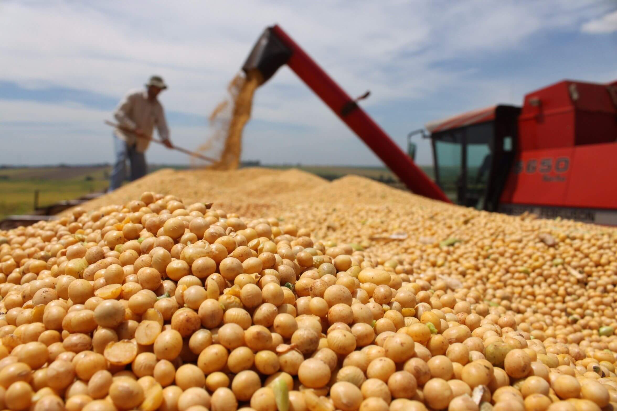 豆价飙升，巴西有望取代美国成为头号大豆生产国