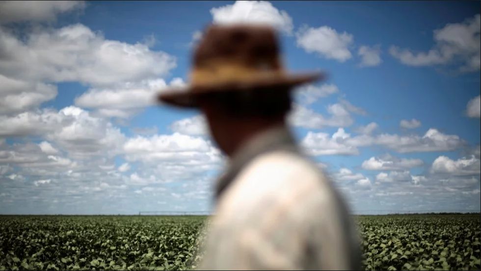 中美贸易战正酣，巴西农户弃糖种豆