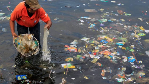 世界环境日来临： 加拿大环保团体发表 “零塑料” 声明