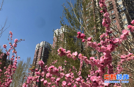 北京楼市小阳春来了，还没买房的你先别慌！