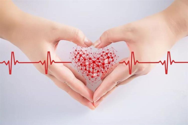 全球首例3D打印完整心脏问世，“心病”有救了?