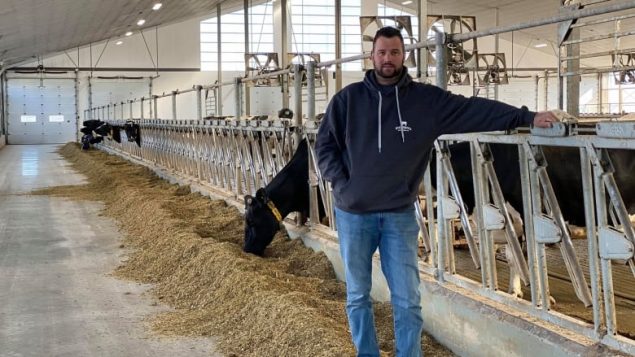 疫情之下：加拿大奶农不得不倒掉牛奶