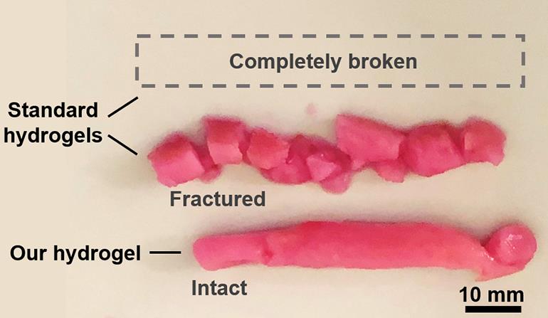 39B057FA-3785-417B-90E1-BE03A1E495D4