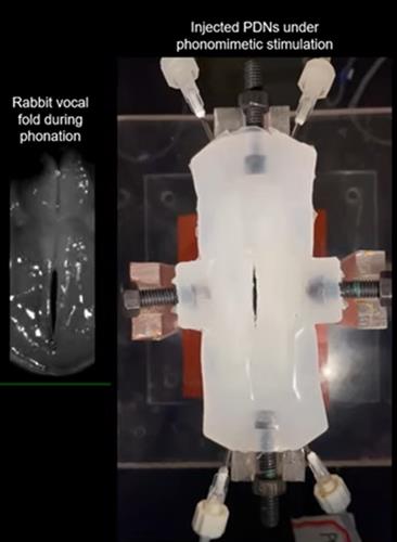 9039E607-0203-4965-B392-E12096B1A855