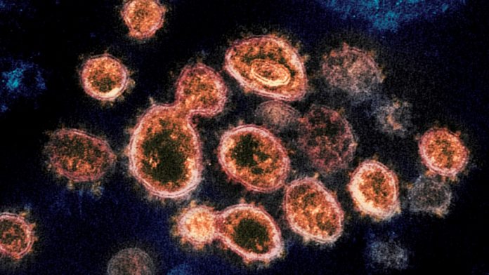 加拿大出现新型冠状病毒，多数存在于动物体内