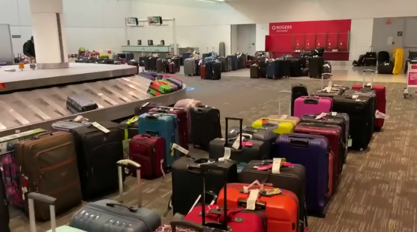 多伦多机场太乱了！男子16天找不到行李 还有人丢了狗