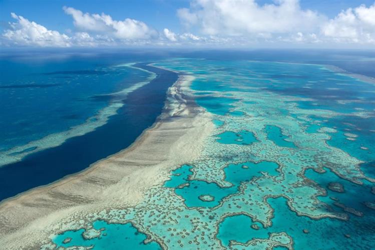 联合国专家警告，澳洲大堡礁珊瑚礁生态系统受到气候变化和海洋变暖的严重影响。AP