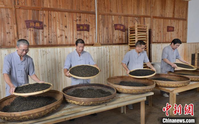 在福安市社口镇坦洋村，“坦洋工夫”红茶传统制作技艺依旧传承。　郑健雄 摄