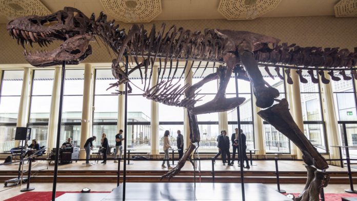 完整暴龙化石4月拍卖 有6700万年历史料成交价达6800万