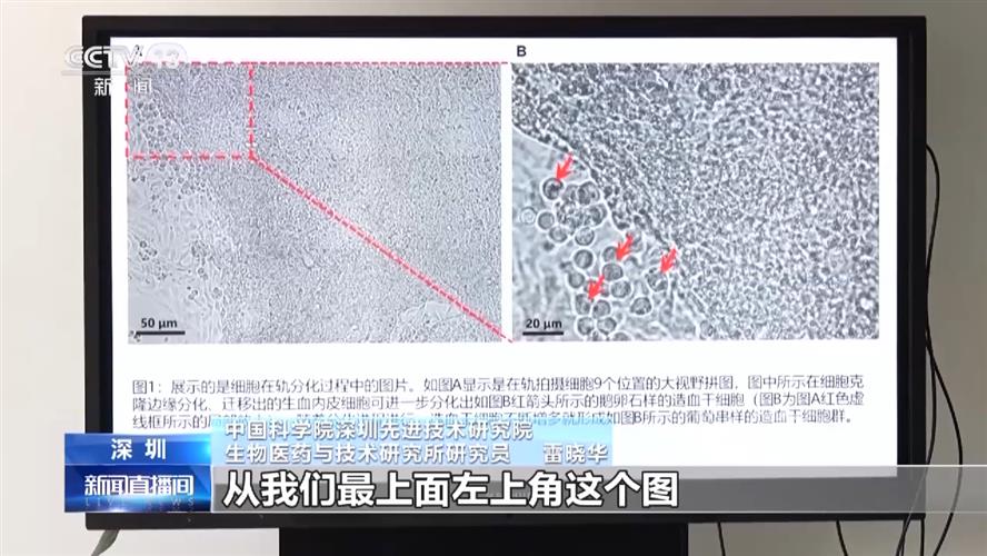 中国首次实现人类干细胞太空早期造血，细节图来了