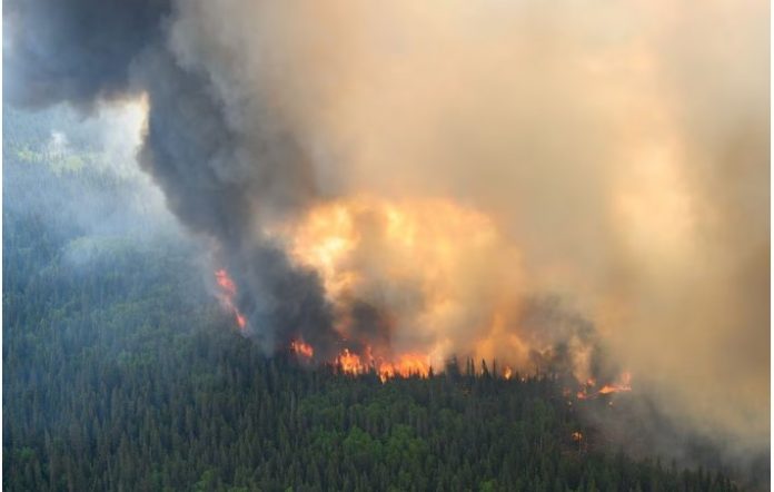 加拿大山火严重 大量荒地消防员职位空缺 但是…