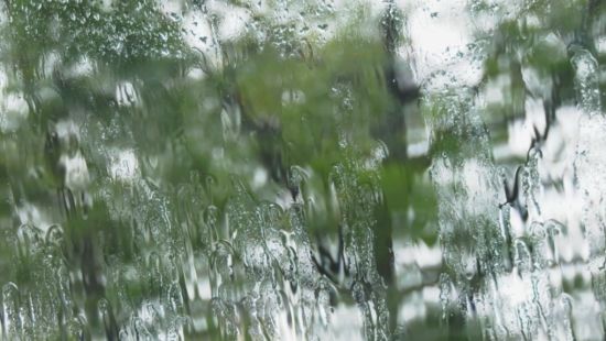 注意强风暴雨 今晚起低陆平原再度迎来风雨