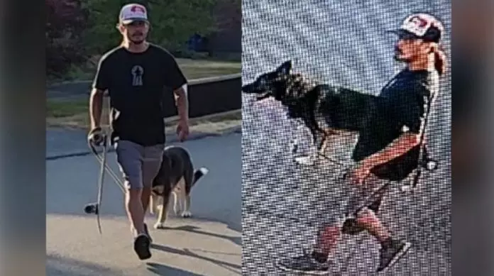 卑诗男子殴打自家狗儿 遭到刑事指控