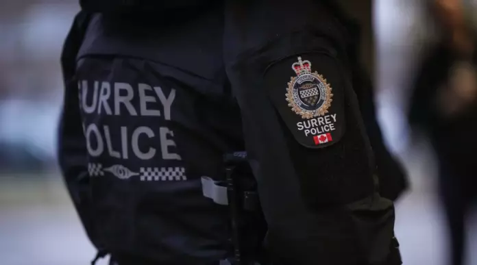 素里凌晨枪击 一车多人成歹徒目标