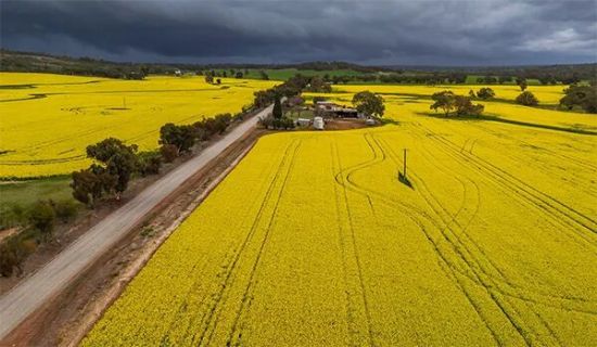 澳大利亚给中国发货，加拿大农民急了