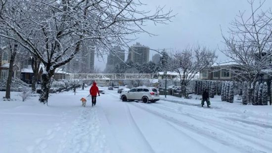 迎接2026年！盘点温哥华元旦当天开放和关闭的场所