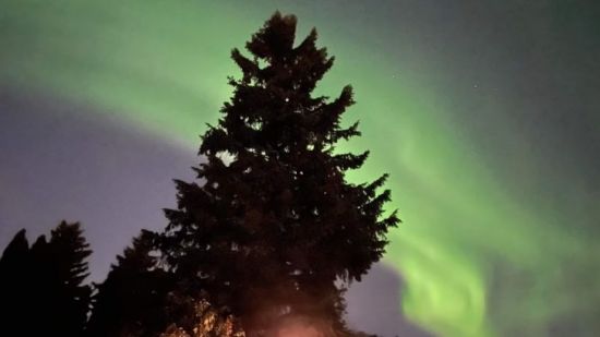 今晚有极光! 在加拿大大城市也能看到, 但是得看运气!