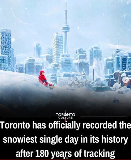 多图直击：多伦多正式创下180年来单日最大降雪纪录，56厘米