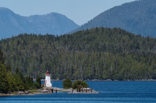 温哥华或迎43年首个“无雪冬天”,BC多地气温狂破百年纪录!