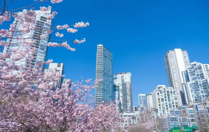 气象学家预测温哥华今春将较温暖和少雨