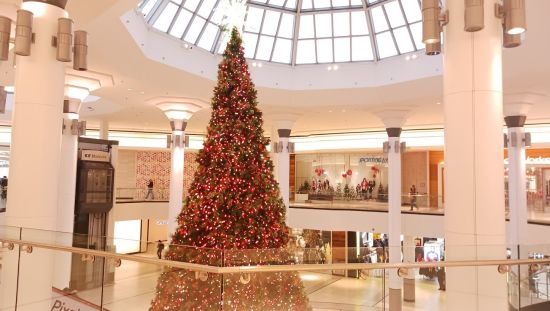 出门就花钱！加拿大人打算节日少花点，年轻人直接砍三成！