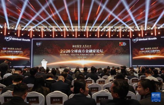 2026全球南方金融家论坛在北京举行