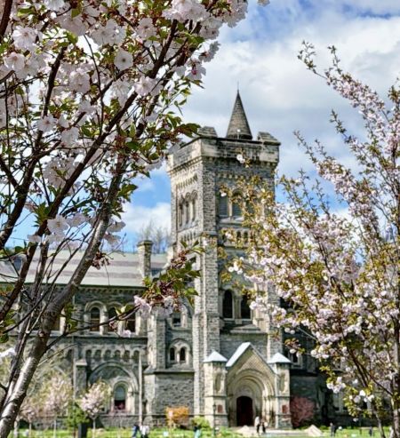 加拿大大学全球排名大幅下滑！中国高校逆势上升，美国继续保持