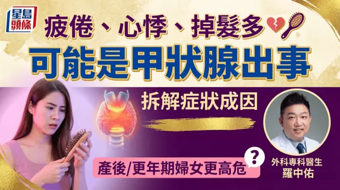 疲倦、心悸、掉发多？可能是甲状腺出事 医生拆解症状成因