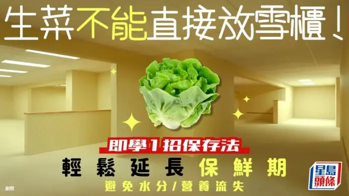 生菜不能直接放雪柜！即学1招保存法轻松延长保鲜期 避免水分/营养流失