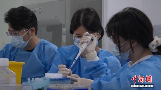 成都“追蚊人”：见招拆招，为蚊子“体检”把脉