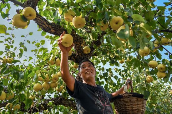 今年中国农民丰收节金秋消费季，有何新看点？