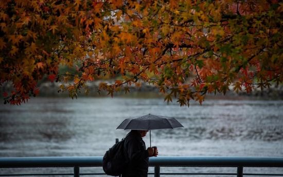 温哥华昨降雨量破同期纪录 未来一周转晴气温回升至24度