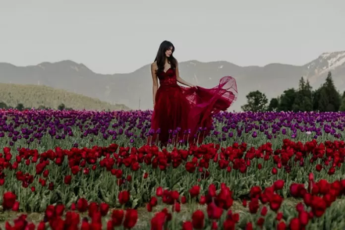 哈里逊郁金香节4月回归 逾1400万株春花争艳