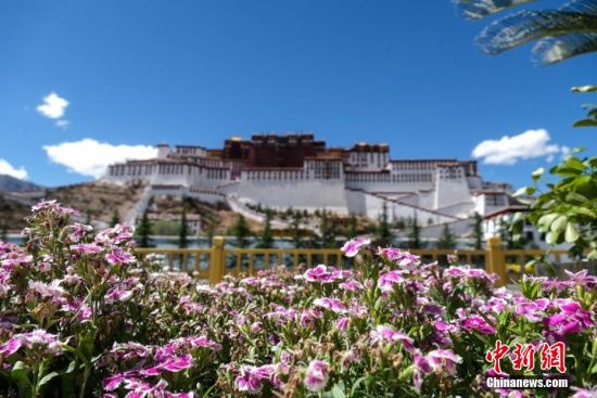 西藏布达拉宫夏日风光秀丽