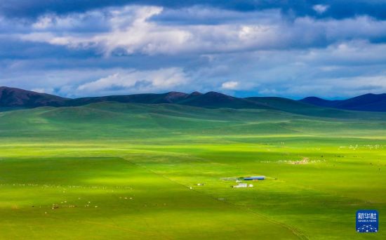美丽西乌珠穆沁草原