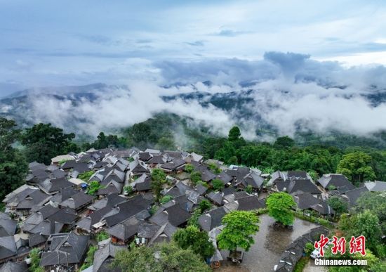 普洱景迈山古茶林文化景观