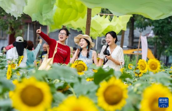 暑期出游正当时一