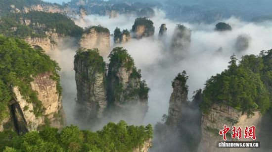 湖南张家界黄石寨壮阔云海覆峰峦