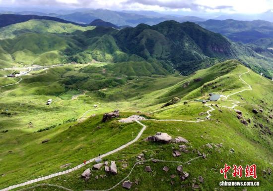 探访“南方呼伦贝尔”——福建柘荣鸳鸯草场