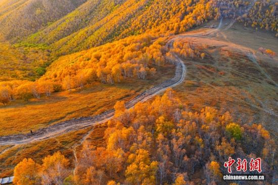 内蒙古赤峰：黄岗梁秋日山林披金装